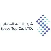 Space Top Co Logo